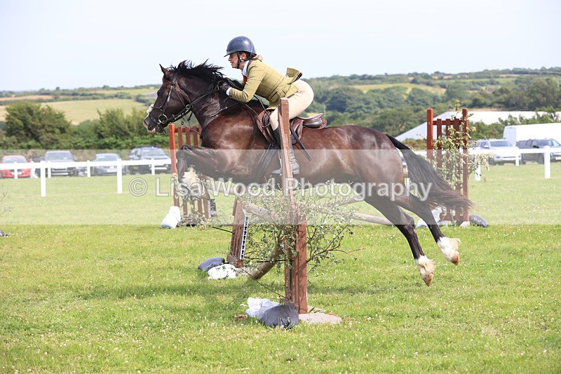 JPP_4023 - Class 24: Working Hunter 90cm