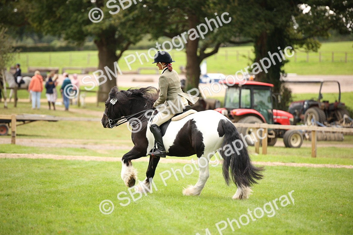SBM_73509 - S68 - Traditional Cob Ridden