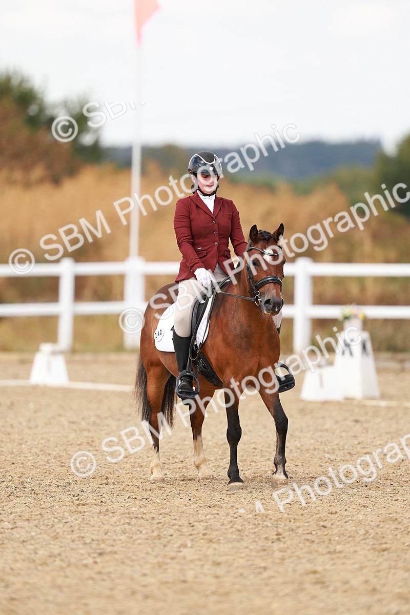 SBM_018655 - Class 9 - N5 Bronze 11.57.13.07