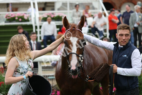 yr04092022r5-69 - Race 5 4.05pm Little Green Rascals Children's Nurseries Stakes