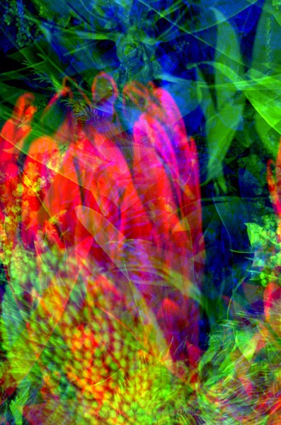 STILL LIFE-CYCLE - STILL LIFE-CYCLE I 2012