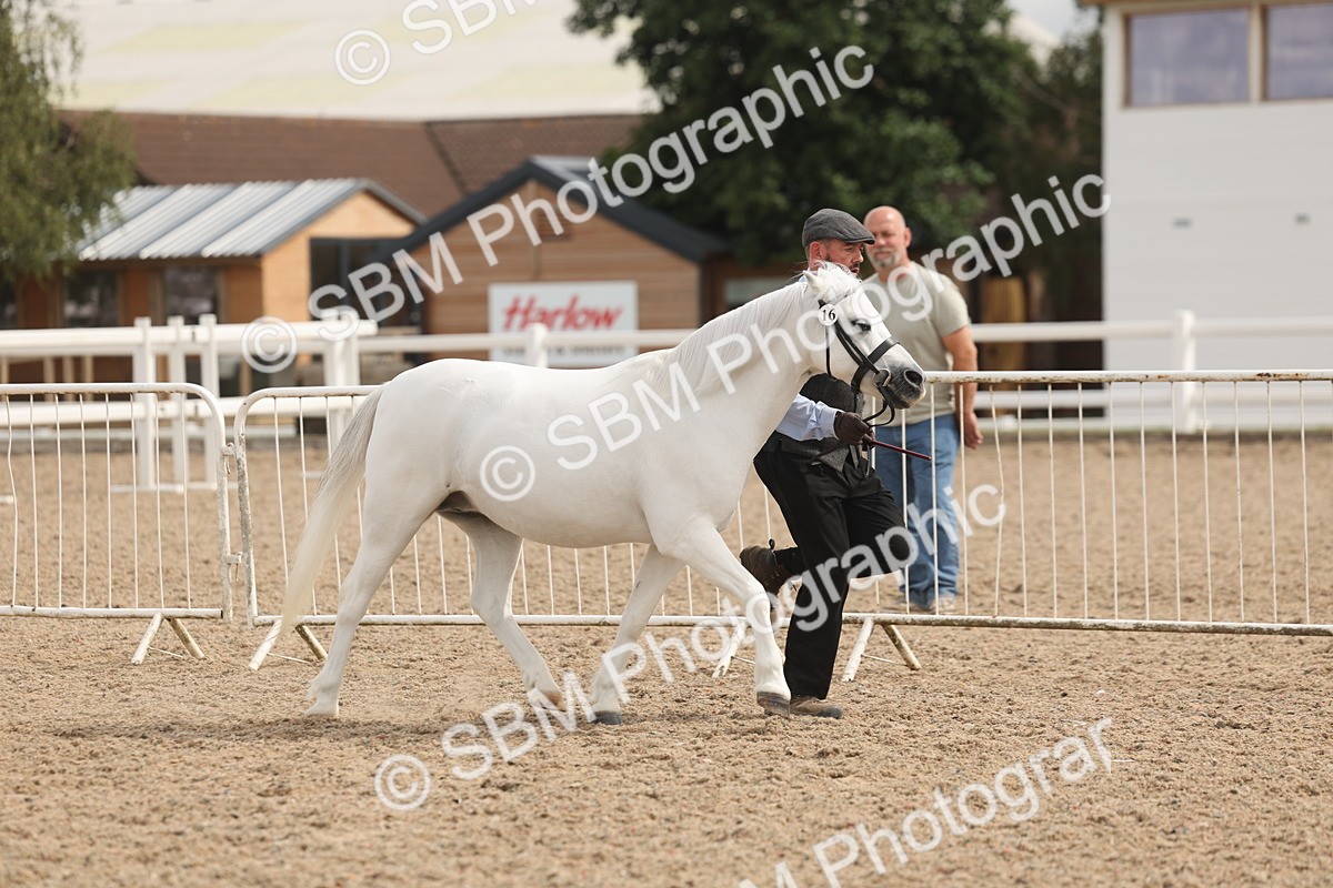 SBM_04957 - Class 20 - IH Veteran