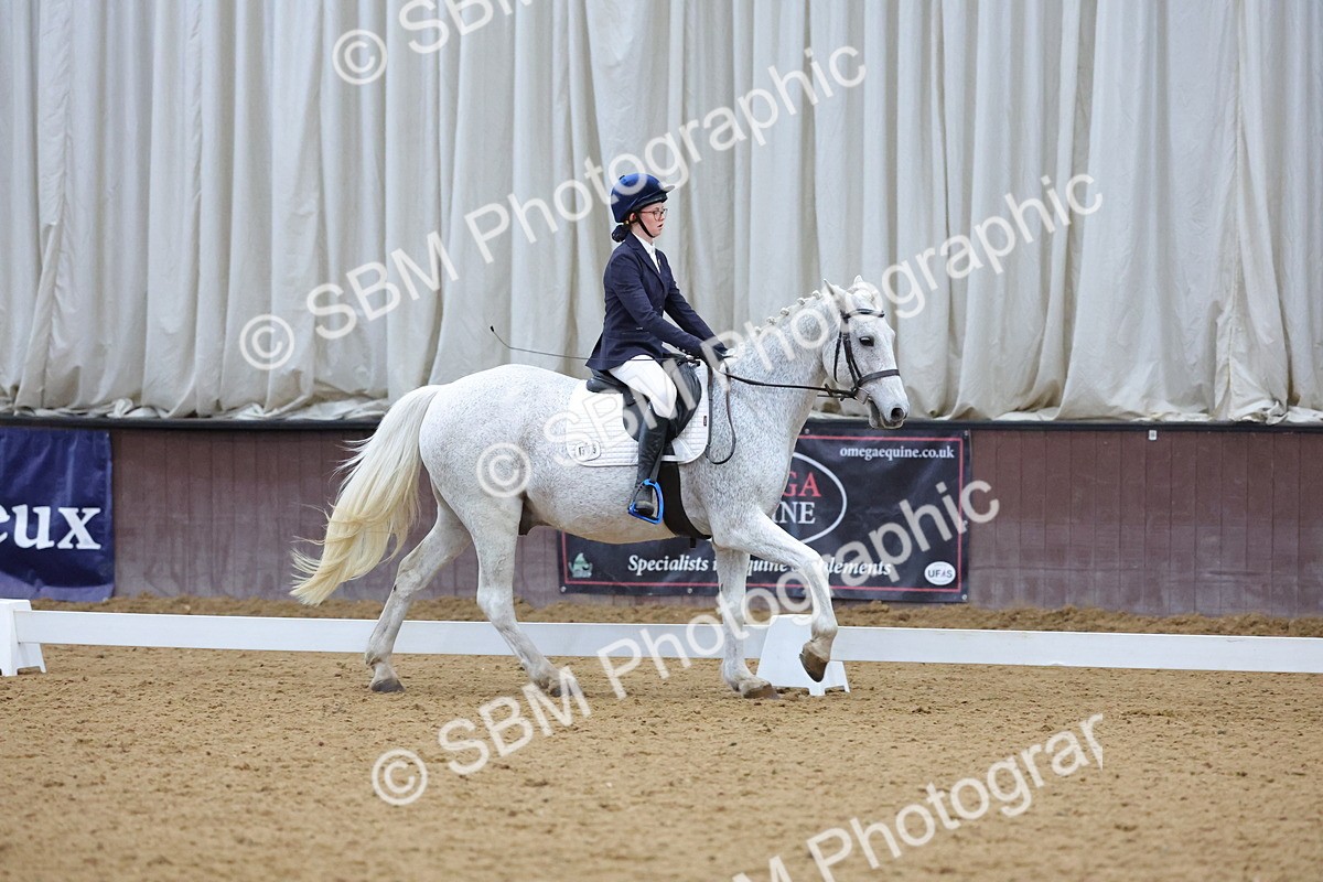SBM_004148 - Intermediate