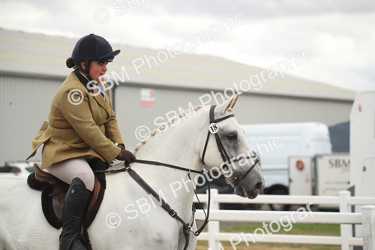 SBM_18257 - Class 509a - Working Veteran - 80cm (15-19)