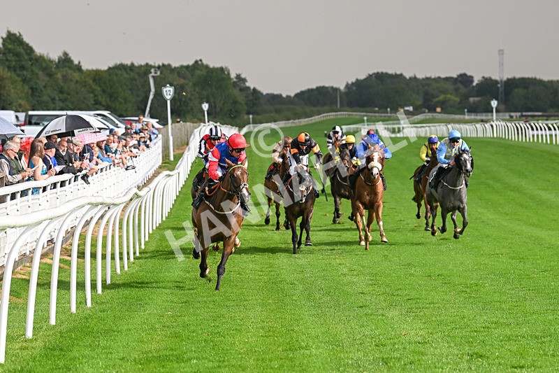 280824-Race 4-Desert Dream-4380 - Race 4