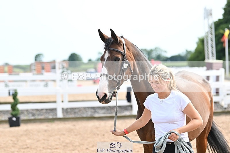 240717A-162023-03421 - Trot Up 4pm to 5pm