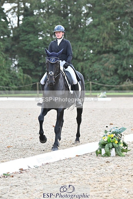 231019-104230-01938 - 102-BAGHEERA-Althea.Bleekman-DR