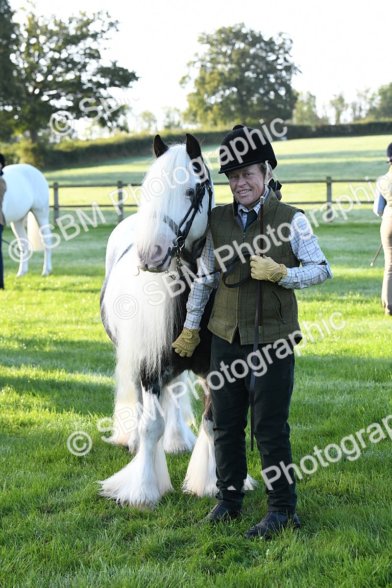 SBM_32664 - S15 - Condition & Turnout In Hand