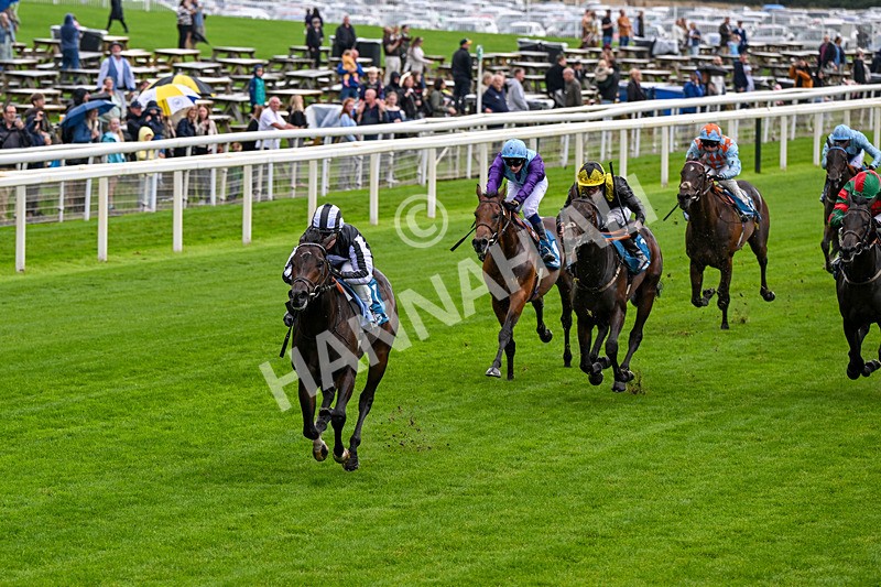 060926-Race 1-Mezzo Forte-0034 - Race 1 1.30pm Irish Thoroughbred Marketing 'Confined' EBF Maiden Stakes