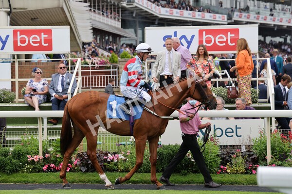 yr24072021r5-32 - Race 5 4.25pm Sky Bet Best Odds Guaranteed Stakes