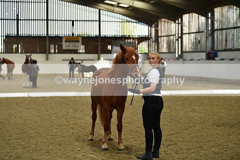 WJ5_3977 - Class 2 Best Condition In hand