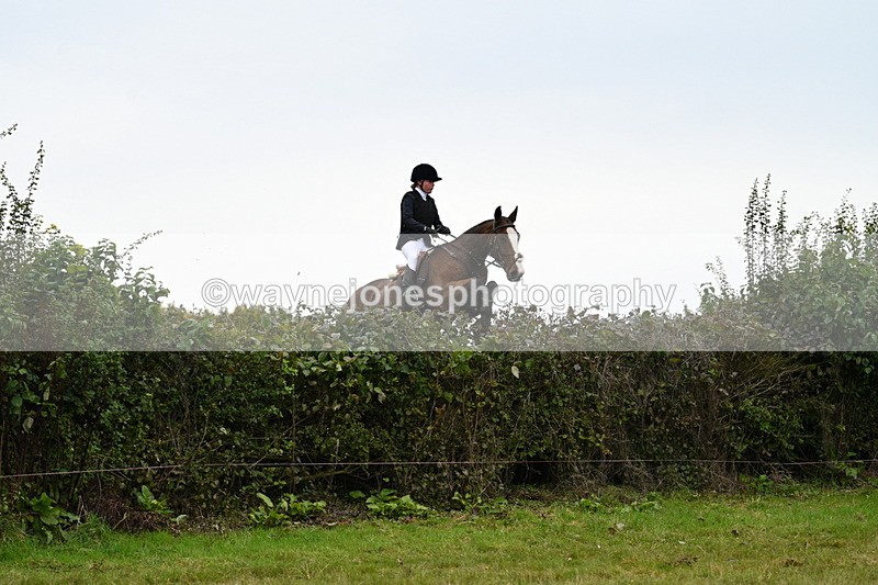 WJ7_4158 - Camera 1 Line 2