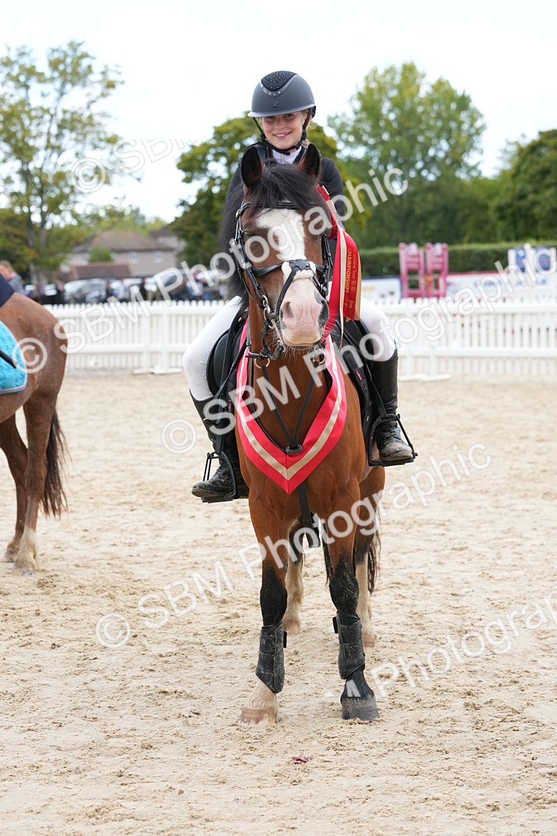 SBM_40872 - Supreme Championship Pony 50-55cm