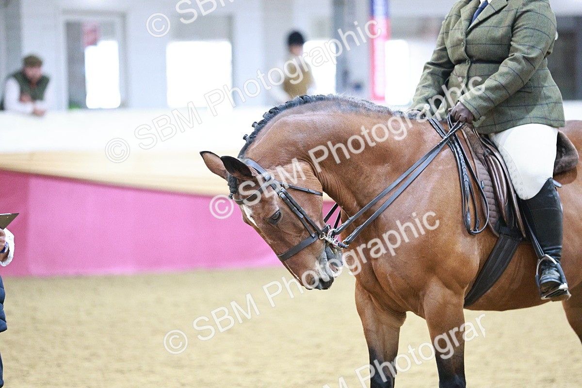 SBM_08198 - Class 11R - Regional Ridden Veteran