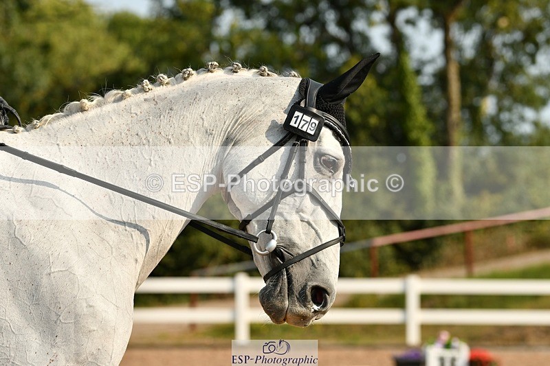 250817-095050-07606 - 179-Kate.WilliamsGhyllwood.April.Moment