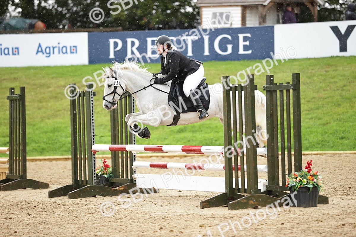 SBM_35970 - J38 - Senior Horse & Pony 80cm Championship