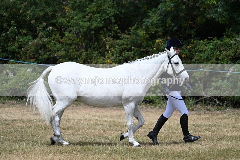 WJ7_1622 - Class 4 Prettiest Mare up to 14.2hh in hand