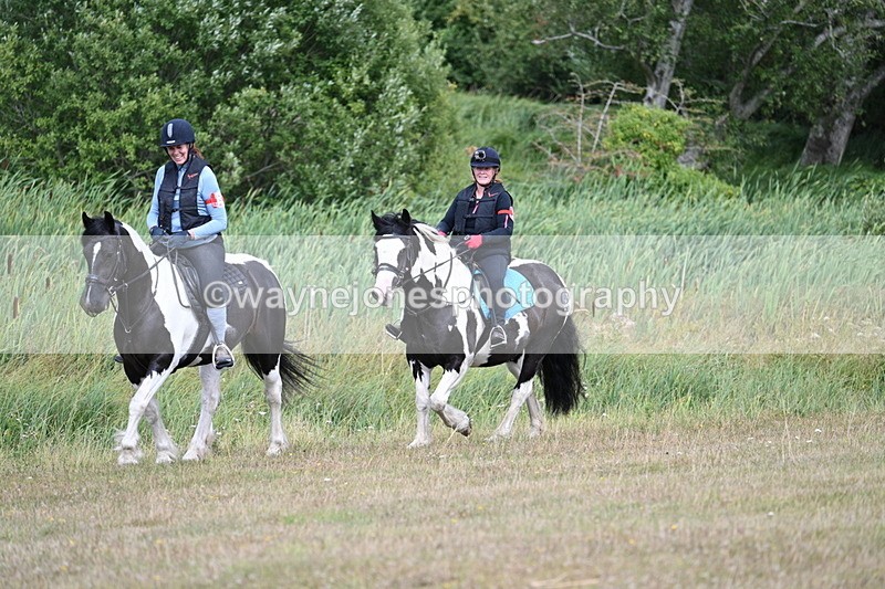 WJ7_5669 - Time 11:50 to 12:09