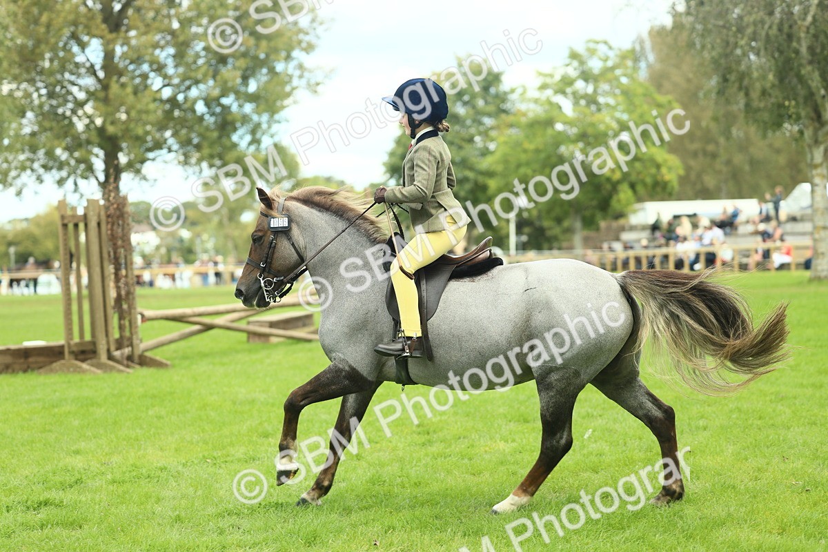 SBM_42785 - S30 - M&M Working hunter Pony