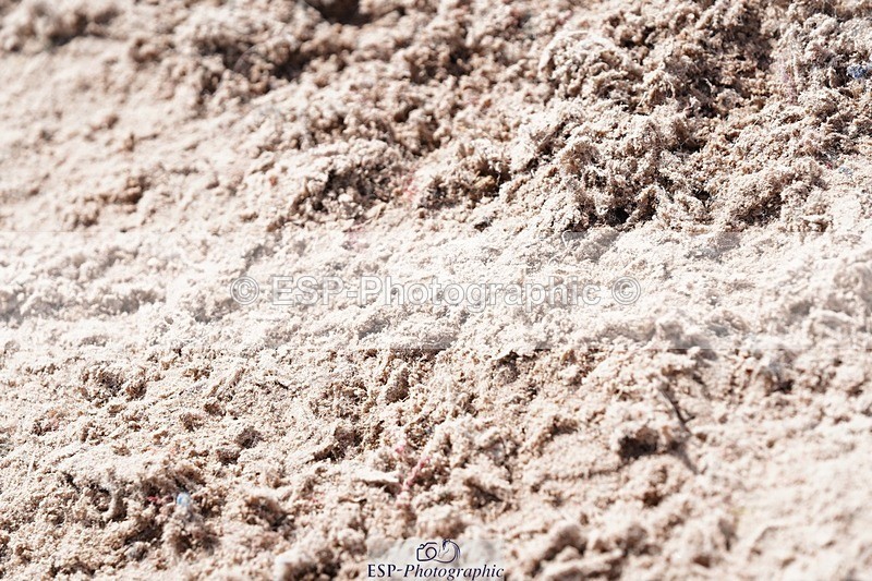 250425-135522-10105 - Cls 34 Young Horse 7yr old