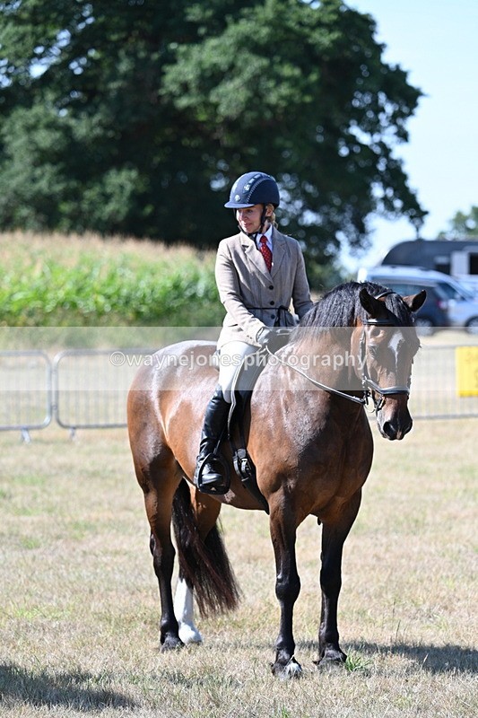 WJ7_3591 - Class 9 Mountain & Moorland Ridden
