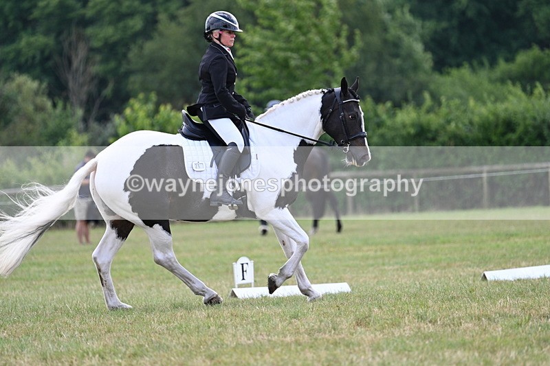 WJ7_5247 - Time 11:22 to 11:51