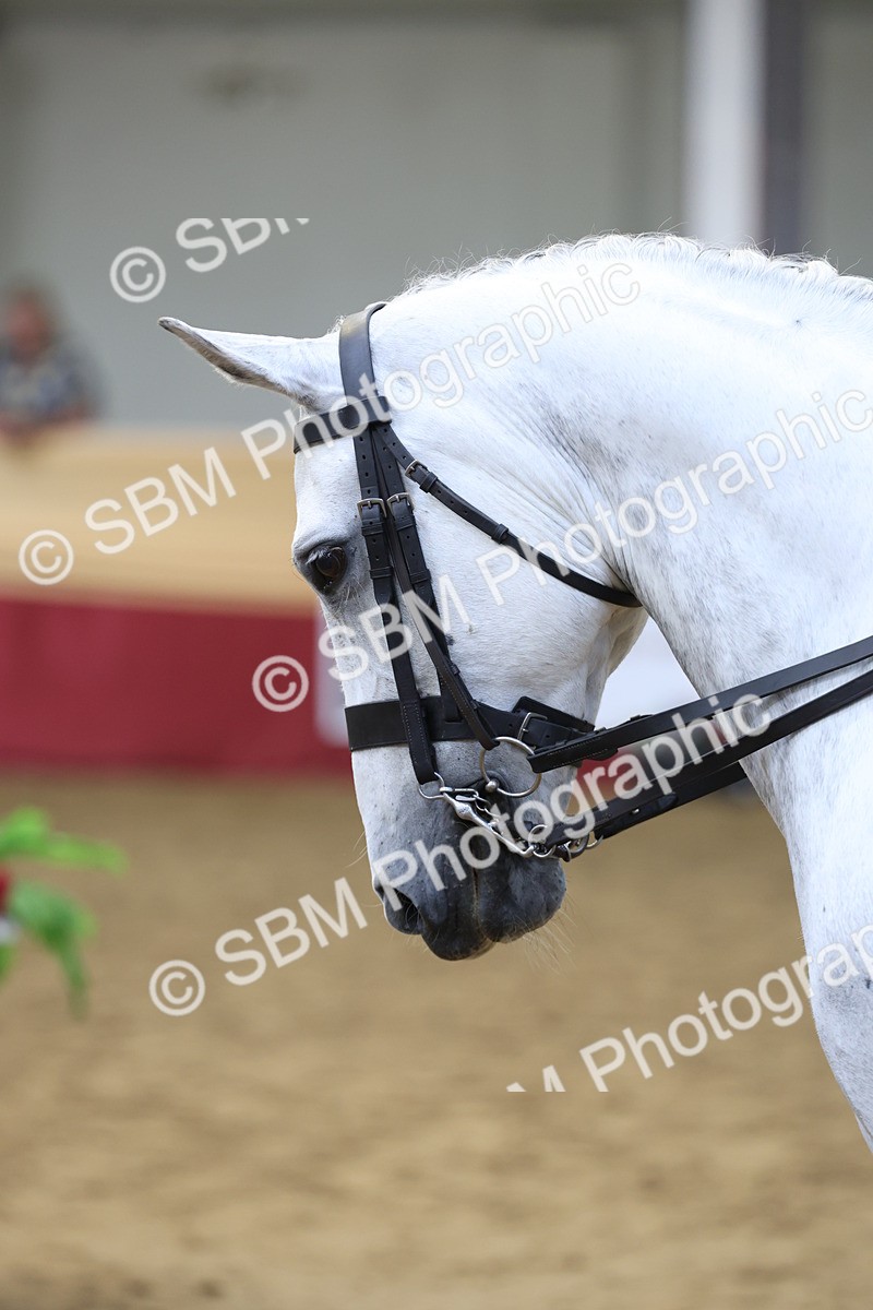 SBM_23632 - class 906 - Supreme Final - Ridden Pre Vet