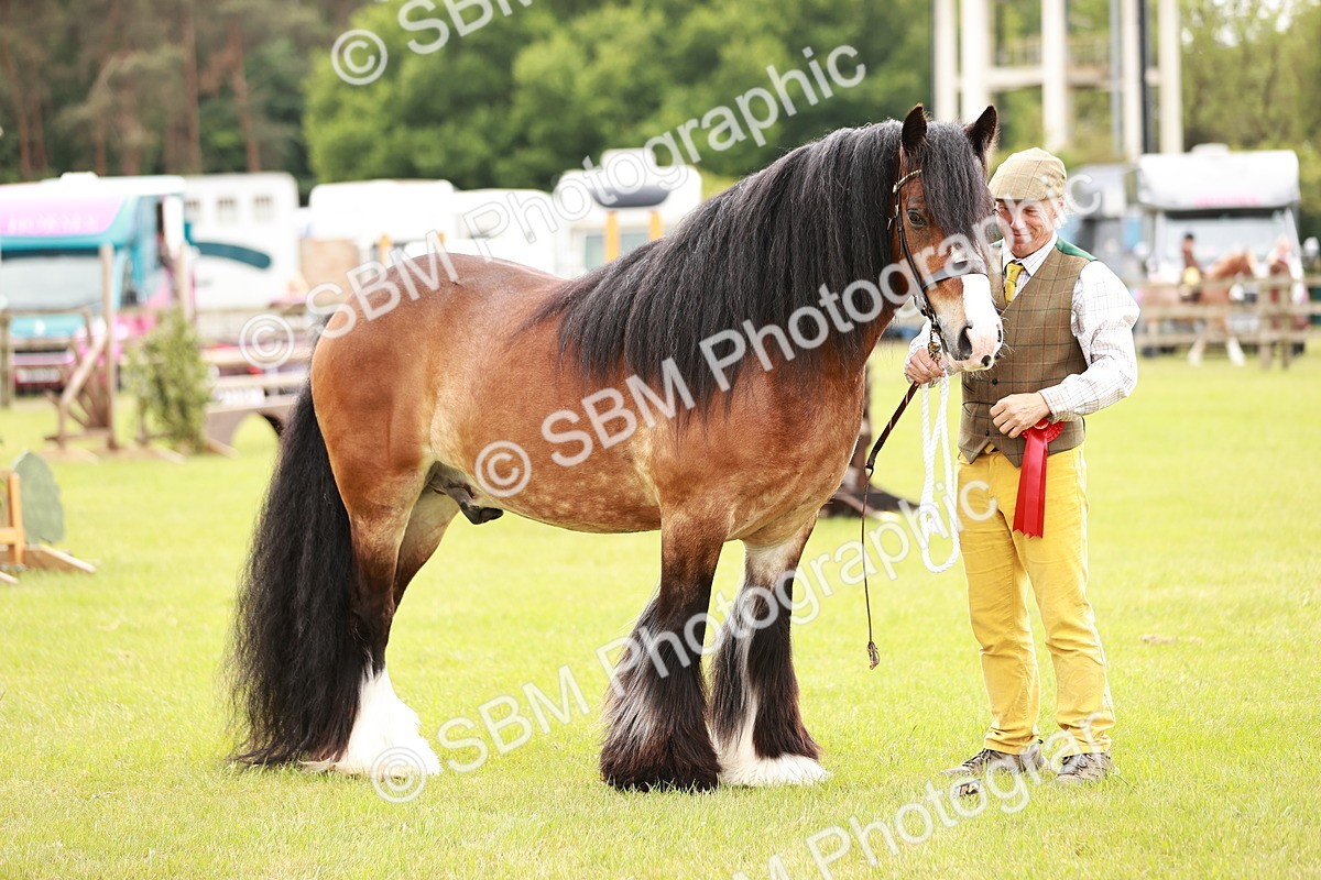 SBM_06074 - Class 39-41 TGCA In Hand and Ridden