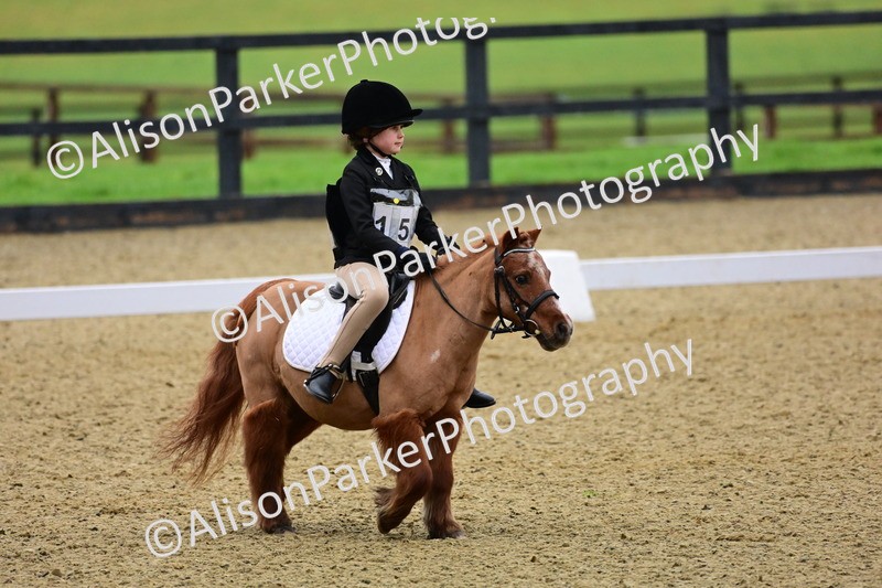 20260125-0570 - Class 9b - Walk Trot Unassisted