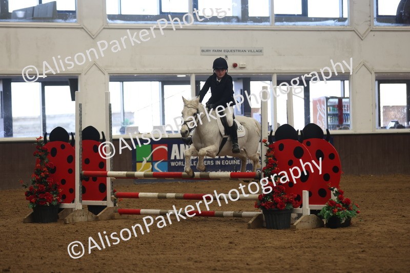 20260314-3265 - 80cm