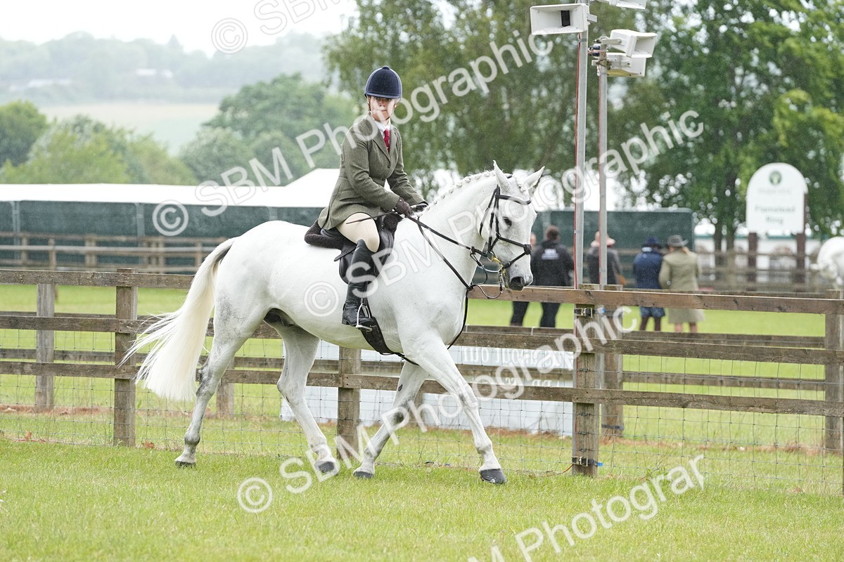 SBM_12648 - Class 97-98 - LIHS BSHA Rising Star Working Show Horse Hunter