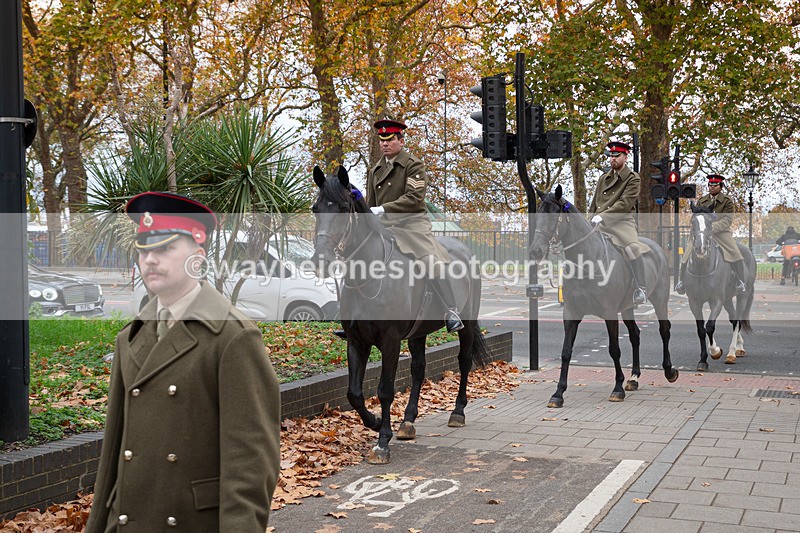 Z62_4436 - Animals In War Memorial 2025 - Park Lane, London