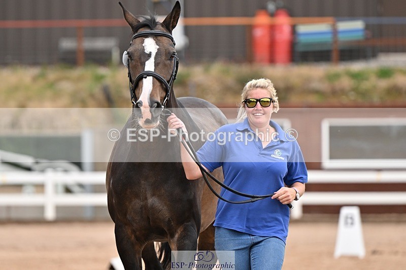 250716-155802-02302 - Trot Up 3.30 to 4.30