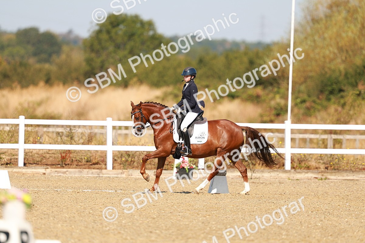 SBM_016835 - Class 9 - N5 Bronze 9.30.10.19