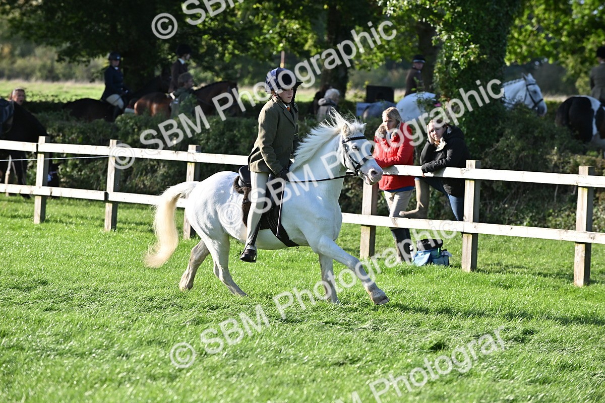 SBM_53050 - S23 - First Ridden Mountain & Moorland Pony