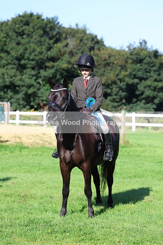 3E7A7707 - Class 1: Novice Working Hunter Pony