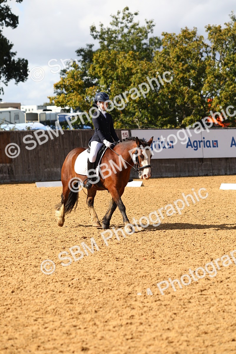 SBM_49105 - D23 - Junior Championship Prelim 1