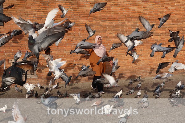 Woman with pidgons flying, Chiang Mai ,Thailand - Smiling faces of the World