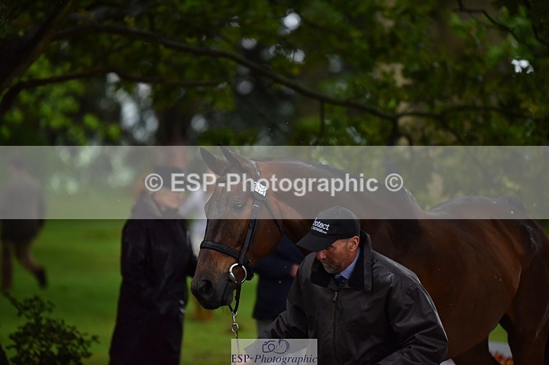 240522-153556-00463 - 379-TREBIFFIN-Neil_Fox