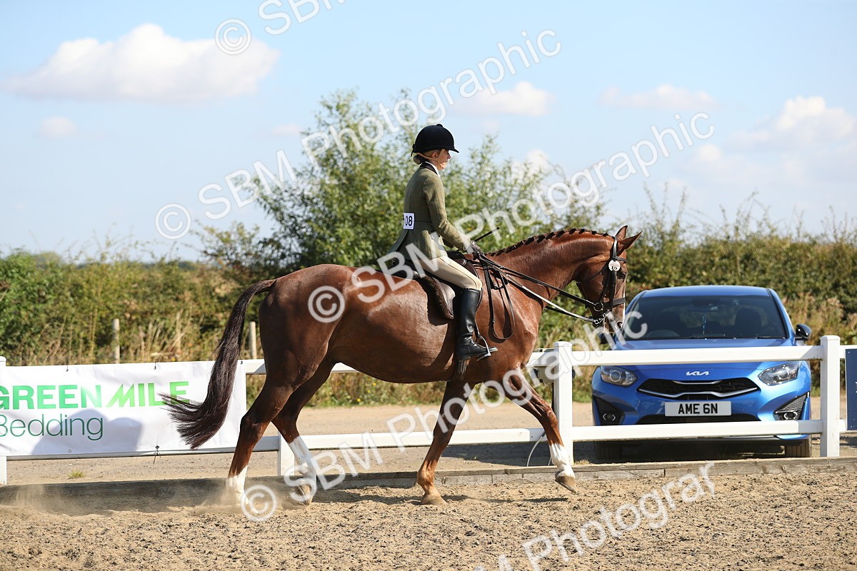 SBM_02204 - Class 43 Ridden Competition Horse/Pony