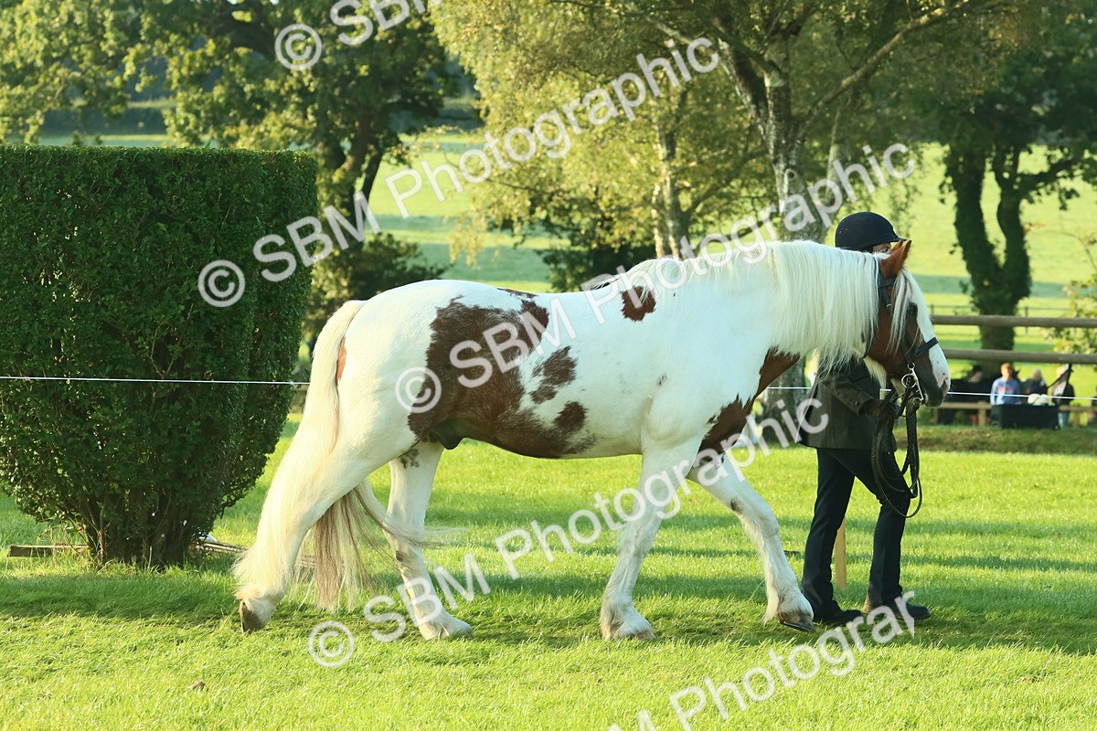 SBM_57322 - S37 - Starters In Hand Showing