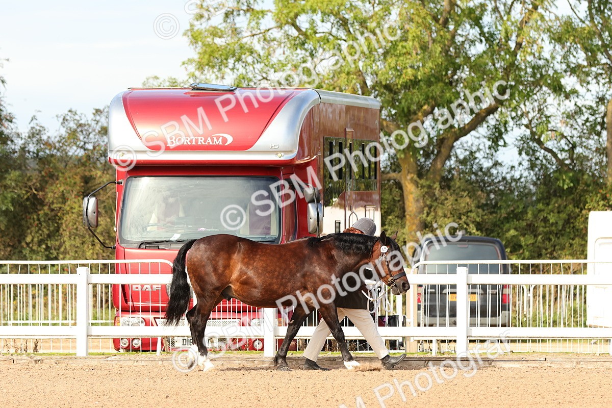 SBM_17980 - Class 707 - IH Groom - Helpers Glass