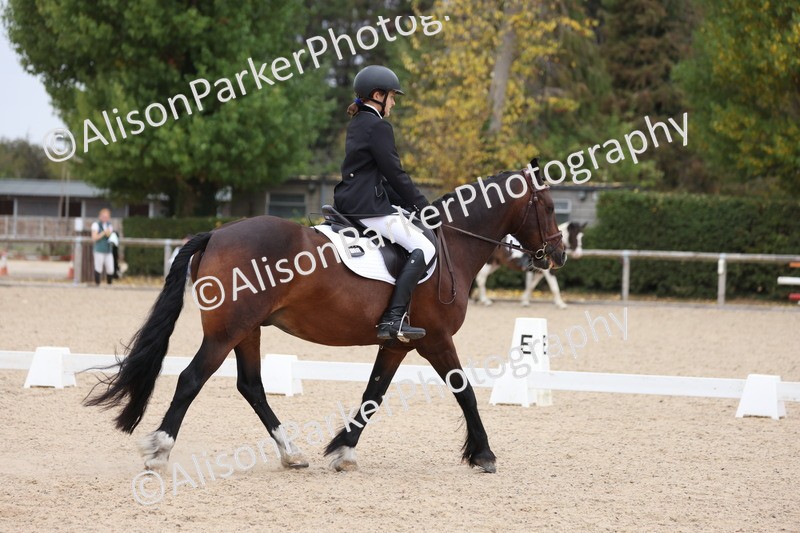 20250819-1137 - Class 3 - Prelim 2