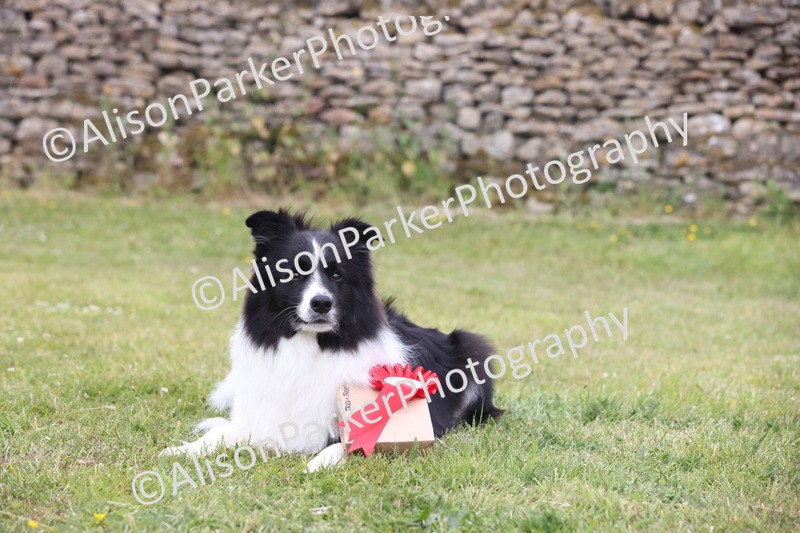 20250607-0255 - Class 5 - Trick and Treat