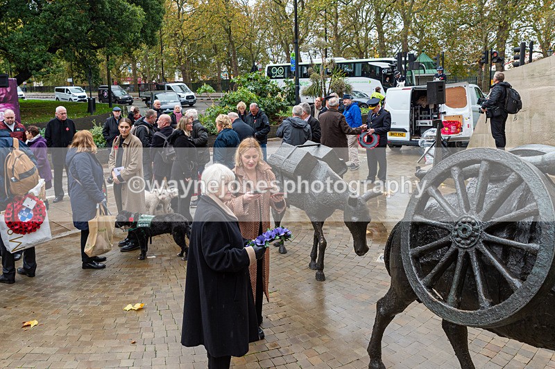 NGP_7058 - Animals In War Memorial - 10-11-23