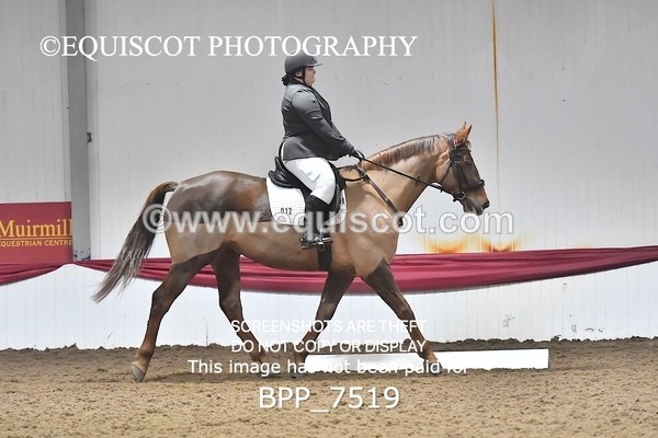 BPP_7519 - INTRO TEST 2