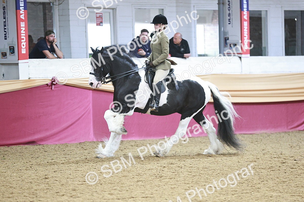 SBM_08913 - Class 12R - Regional Ridden Pre-Vet