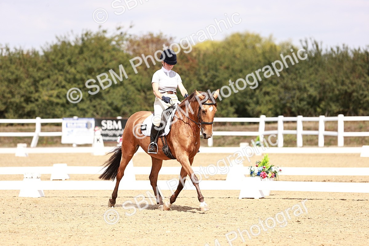 SBM_018557 - Class 17 - Novice 6