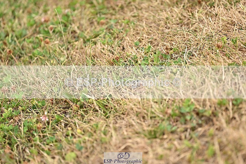 260730-120452-00581 - Cls 9 95cm Amateur