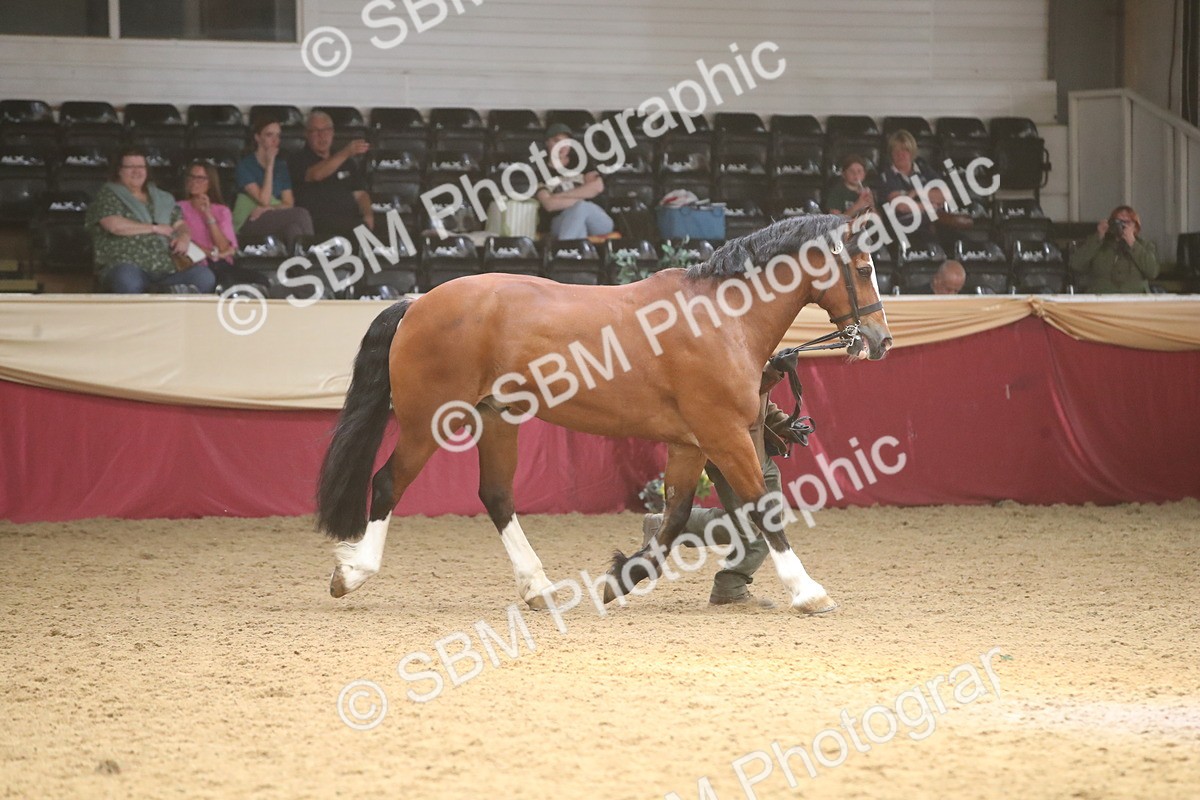 SBM_05614 - Class 9R - Regional IH Pre-Vet